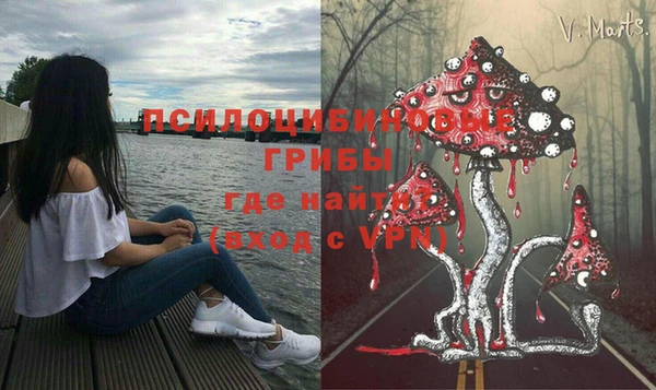 ешки Бугульма