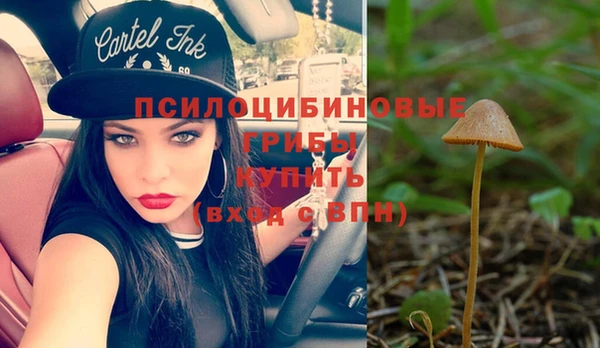 ешки Бугульма
