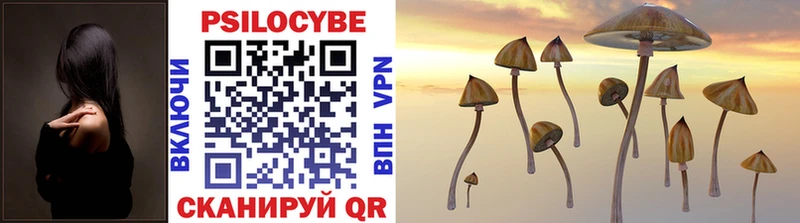 Псилоцибиновые грибы Psilocybe  Киржач 